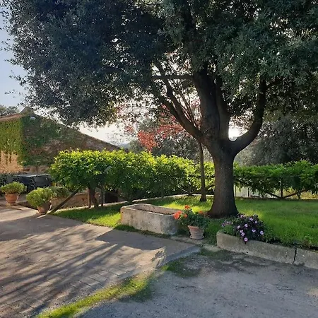 La Casa Dei Nonni Tra Crete Senesi E Val D'orcia Holiday home