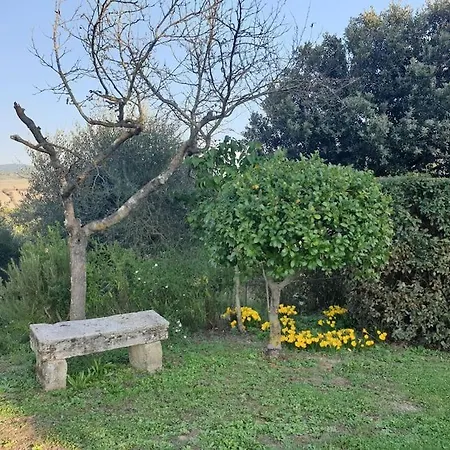 La Casa Dei Nonni Tra Crete Senesi E Val D'orcia Holiday home