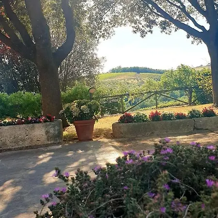 La Casa Dei Nonni Tra Crete Senesi E Val D'orcia