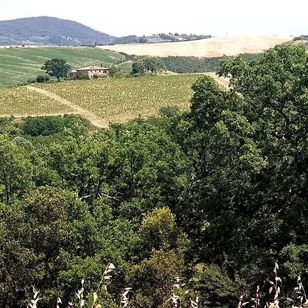 La Casa Dei Nonni Tra Crete Senesi E Val D'orcia Holiday home