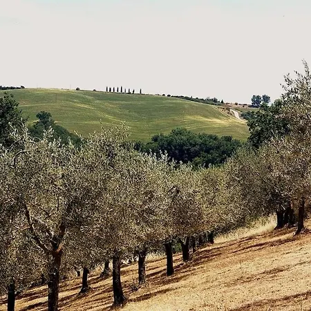 Holiday home La Casa Dei Nonni Tra Crete Senesi E Val D'orcia *